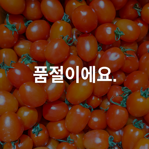 [대용량/가격파괴] 쫀득 대추 방울 토마토 2kg